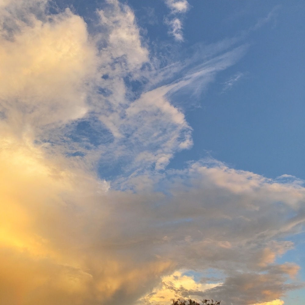 Meet your Posher, Tu